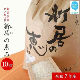 【ふるさと納税】 白米 新米 えひめ未来農業協同組合 ブランド米 「新居の恵み (ヒノヒカリ) 令和7年産」 10kg