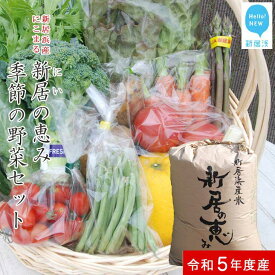 【ふるさと納税】 えひめ未来農業協同組合 ブランド米 「新居の恵み （にこまる） 令和5年度産」 5kg と 季節の野菜 約2kg セット （クール便でお届け）