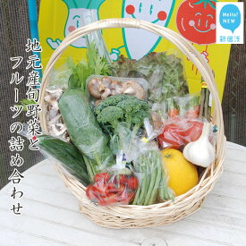 【ふるさと納税】地元産旬野菜とフルーツの詰め合わせ（クール便でお届け） えひめ未来農業協同組合