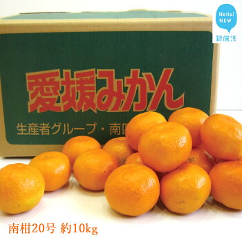 記事番号:33396/アイテムID:356824の画像