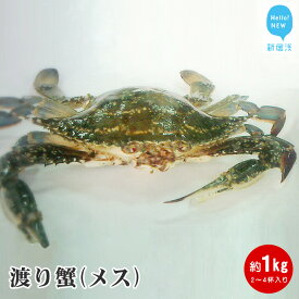 楽天市場 瀬戸内 ワタリガニの通販