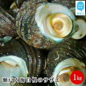 yӂ邳Ɣ[ŁziII˓C̃TUG1kg