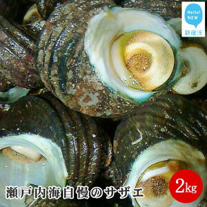yӂ邳Ɣ[ŁziII˓C̃TUG2kg