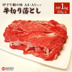 【ふるさと納税】＜伊予牛絹の味（A4,A5）牛切り落とし 合計1kg（250g×4）＞※翌月末迄に順次出荷します。黒毛和牛 牛肉 国産 牛丼 普段使い 1キロ 小分け 青野精肉店 愛媛県 西条市【冷凍】