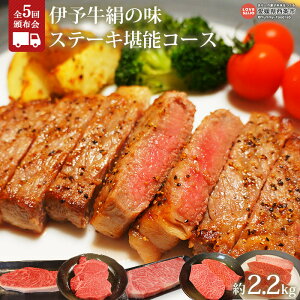 yӂ邳Ɣ[Łz֑S5 Xe[LЕzɗ\̖(A4,A5NX) Xe[L\R[X ɑ1ڂo  јa Y C`{ q ~XW v T[C BBQ o