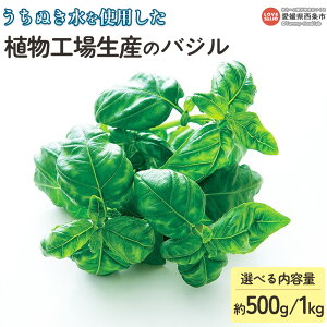 yӂ邳Ɣ[ŁzʂgpAHꐶỸoW 500g/1kg ɏoׂ܂BIׂe 1000g n[u VɍEȂ _sgp Iɍ͔|\ H