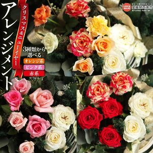 yӂ邳Ɣ[Łz2025 NX}Xj[C[ t[AWg IWn/sNn/Ԍn2025N121()`1224()܂łɏoׂ܂ KN o ΂   A 