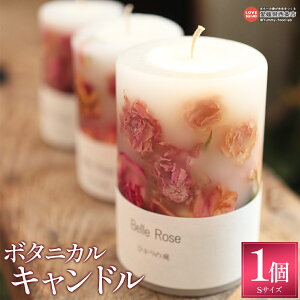 yӂ邳Ɣ[Łz{^jJLh(STCY) 1ŒZ2Tԁ`1xŏo 낤 nhCh  gKN o ΂  A  Mtg 蕨 v[g 