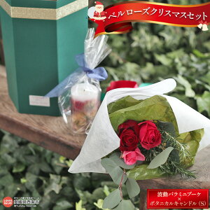 yӂ邳Ɣ[Łzx[YNX}XZbg go~ju[P×{^jJLh(STCY)2025N121()`1224()܂łɏoׂ܂ gKN o ΂   