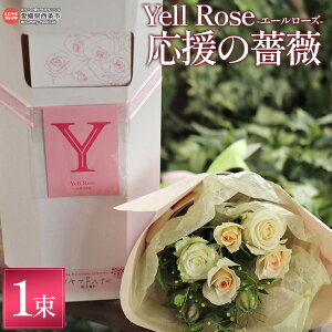 yӂ邳Ɣ[ŁzYell RoseiKN G[[YjŒZ2Tԁ`1xŏoח\ gKN o ΂   A    Mtg 蕨 v[g J 