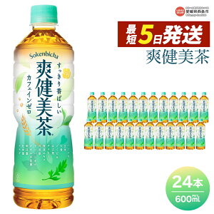 yӂ邳Ɣ[Łzu 600ml×24{ ŒZ5cƓŏoׂ܂BXs[h Iׂ z 1 2 3  Pi RJER[ ybg{g PET  uh JtFC[