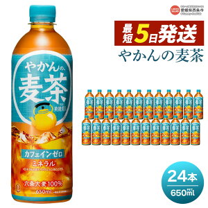 yӂ邳Ɣ[Łz₩̔ 650ml×24{ŒZ5cƓŏo Xs[h Iׂ z 1 2 3  Pi RJER[ u ybg{g PET  ނ JtFC[