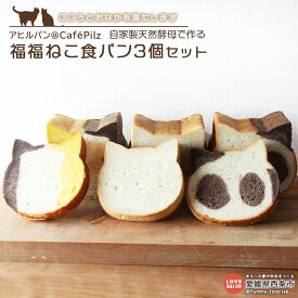 【ふるさと納税】アヒルパン＠CafePilz ＜自家製天然酵母で作る 福福ねこ食パン3個セット＞ ※入金確認後、2か月以内に順次出荷します。プレーン ココア かぼちゃ カボチャ 南瓜 猫 ネコ 朝ごはん 朝食 食べ比べ 特産品 カフェピルツ 愛媛県 西条市【冷凍】