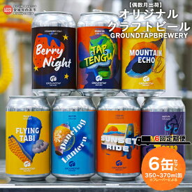 【ふるさと納税】【偶数月出荷】＜オリジナルクラフトビール 6缶セット 6回定期便 GROUNDTAP BREWERY＞※入金確認後、次の偶数月に第一回目を順次出荷します。350ml 370ml お任せ 缶 ご当地ビール 地ビール おしゃれ お酒 BBQ キャンプ 宅飲み 晩酌 愛媛県 西条市【冷蔵】