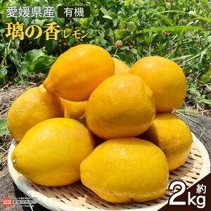 yӂ邳Ɣ[ŁzQYL@ ̍ 2kg 2025N11{`2026N1ɏo ̂ ʕ  t[c   EG AW  ݕ hN XC