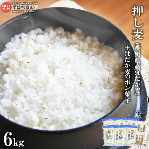 yӂ邳Ɣ[Łz(QY͂)6kg+͂̃|َq ɏo 1kg×6  唞 G  َq c Q s y퉷z