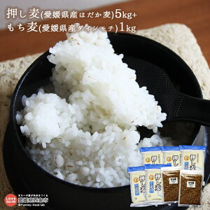 yӂ邳Ɣ[Łz(QY͂)5kg+(QY_CV`)1kg ɏo v6kg  唞 G  c Q s y퉷z