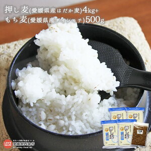 yӂ邳Ɣ[Łz(QY͂)4kg+(QY_CV`)500g ɏo v4.5kg  唞 G  c Q s y퉷z