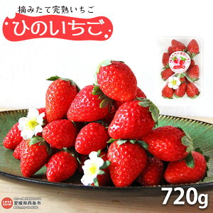 yӂ邳Ɣ[ŁzE݂ĊnuЂ̂v720gi180g×4pbNj 2025N1112ɏo  C`S ʕ  t[c Xgx[ VN { Ԍ Yn