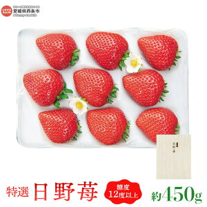 yӂ邳Ɣ[ŁzI 䕁i450gj 2025N1112ɏo C`S  嗱 ʕ  t[c ЂЂ̂ Q s y①zyJPz