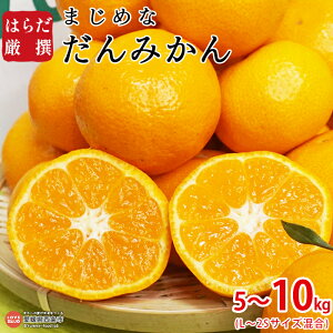 yӂ邳Ɣ[Łz͂炾 ܂߂Ȃ݂ 5`10kgiL`2STCYj 2025N11{12ɏo ʕ t[c  ~J  k Ԍ Ђ