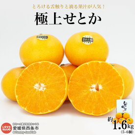 【ふるさと納税】＜「極上せとか」約1.6kg（2L～3L）＞※2025年3月末迄に順次出荷 贈答用 ギフト 贈り物 有機肥料 高糖度 甘い みかん ミカン 蜜柑 柑橘類 かんきつ フルーツ 果物 くだもの 特産品 期間限定 季節限定 旬 産地直送 茨木農園 愛媛県 西条市 【常温】