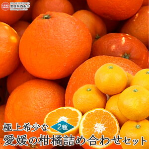 yӂ邳Ɣ[Łzɏ󏭂ȈQ̊klߍ킹Zbg uɏ㈤28n݂v2025N12{`12{ɏoׂ܂B QIWii Qʎ28 ~J