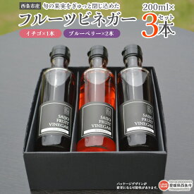 【ふるさと納税】＜旬の果実をぎゅっと閉じ込めた 西条産フルーツビネガー 200ml×3本セット＞※翌月末迄に順次出荷します。 ブルーベリー イチゴ いちご 苺 フレーバー 酢 お酢 果実酢 調味料 アレンジ ドリンク ドレッシング 株式会社糸プロジェクト 愛媛県 西条市【常温】