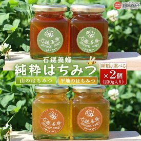 【ふるさと納税】【種類が選べる】＜石鎚養蜂 純粋はちみつ 230g×2個セット（全2種類：山のはちみつ・平地のはちみつ）＞※翌月末迄に順次出荷 計460g ハチミツ 蜂蜜 自然 こだわり 百花 非加熱 天然 純粋蜂蜜 国産 西条市産 愛媛県 西条市【常温】