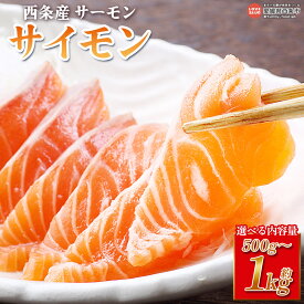 【ふるさと納税】＜西条産サーモン「サイモン」約500g～1kg＞ ※2026年1月～4月までに順次出荷 選べる 内容量 3袋セット 6袋セット 魚 海鮮 刺身 鮭 サケ シャケ さけ フィレ 魚介類 魚介 真空 小分けパック 陸上養殖 国産 愛媛県 西条市【冷凍】