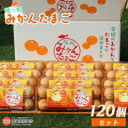?愛媛のみかんをたまごに込めました?＜媛っ娘みかんたまご たっぷり120個セット＞ ※翌月末迄に順次出荷します。 玉子 卵 タマゴ 新鮮 お料理 特産品 TKG 産地直送 蜜柑 ミカン 協栄ファーム 愛媛県 西条市【冷蔵】