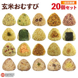 【ふるさと納税】＜玄米 おむすび 定期便 20個×4回＞ - おにぎり 冷凍 鶏 チーズ 鮭 カレー 玄米おむすび玄むす屋 かんこめ 愛媛県 西条市 『入金確認後、翌月末までに第1回目を出荷』