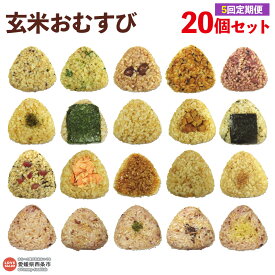 【ふるさと納税】＜玄米 おむすび 定期便 20個×5回 ＞- おにぎり 冷凍 鶏 チーズ 鮭 カレー 玄米おむすび玄むす屋 かんこめ 愛媛県 西条市 『入金確認後、翌月末までに第1回目を出荷』