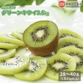 【ふるさと納税】輝らり果樹園＜山の恵み グリーンキウイ 3.5kg入り＞※2026年2月中旬から3月中旬迄に順次出荷 28〜40玉(1玉85g以上) フルーツ 果物 健康果物 希少な国産キウイ きうい キウィ ヘイワード くだもの 完熟 旬 期間限定 季節限定 特産品 愛媛県 西条市【常温】