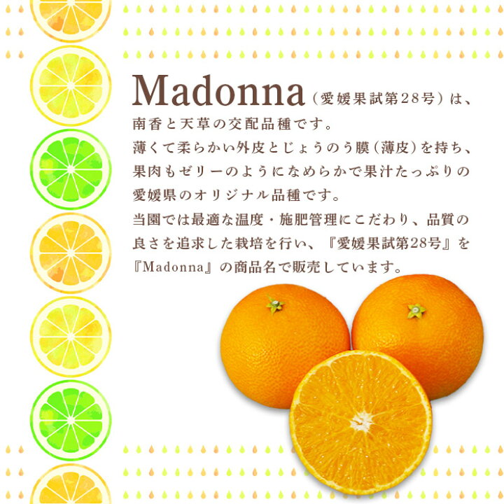 楽天市場 ふるさと納税 Madonna 愛媛果試第28号 Mサイズ 5kg 21年12月上旬から22年1月下旬迄に順次出荷します みかん ミカン 柑橘 まどんな 果物 フルーツ マドンナ 愛媛県 西条市 常温 愛媛県西条市