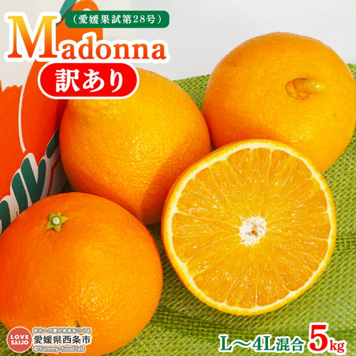 楽天市場 ふるさと納税 訳あり Madonna 愛媛果試第28号 L 4l混合 5kg 21年12月上旬から22年1月下旬迄に順次出荷します みかん ミカン 柑橘 まどんな 果物 マドンナ フルーツ 愛媛県 西条市 常温 愛媛県西条市