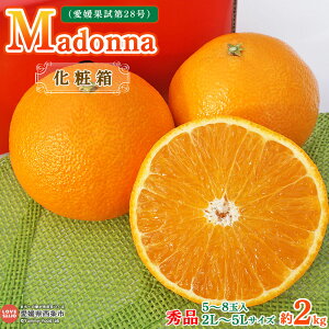 yӂ邳Ɣ[ŁzMadonna 2kg ϔ Gii2L`5LTCY 5`8ʁj 2025N12{`2026N1{ɏoׁB Qʎ28 ݂ ~J  ܂ǂ }hi k ʕ 