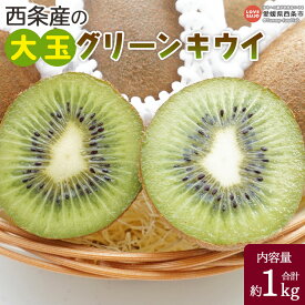 【ふるさと納税】＜西条産の大玉グリーンキウイ 約1kg＞※翌月末までに順次出荷します。キューイ キウィ ヘイワード フルーツ 栄養価が高い ビタミンたっぷり 好評 美容 健康 腸内環境の改善 食物繊維 便秘解消 くだもの 果物 国産 愛媛県 西条市【常温】