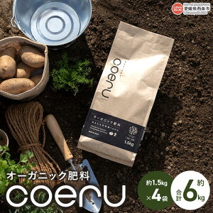 yӂ邳Ɣ[ŁzI[KjbN엿 coeru 6kgi1.5kg×4܁jɏoׂ܂B RG ybg A t[hX ͔|  | L@ {L@l Q s y퉷z
