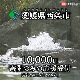 【ふるさと納税】＜寄附のみの応援受付(返礼品はございません)＞ 愛媛県 西条市 返礼品なし 寄付