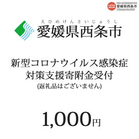 【ふるさと納税】＜新型コロナウイルス感染症対策支援 寄附金受付(返礼品はございません)＞ 愛媛県 西条市 返礼品なし 寄付