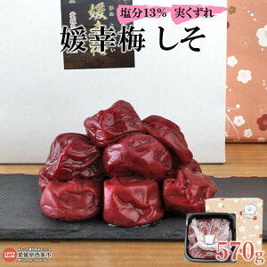 yӂ邳Ɣ[ŁzQK~   570g ɏo ~  썂~ Hi Q s y퉷z