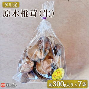 yӂ邳Ɣ[Łzpr ؒőij300g×7܁ 2025N11{`2026N1ɏo  VC^P ǂ LmR ̂ Y   ώ  VՂ ϕt ܂ 