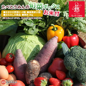 yӂ邳Ɣ[ŁzׂƂ݂̏{؃{bNXi܂6`8 L10 yݏi 3kgtj ̉Ηjɏoׂ܂B ₳ ^}S ܂ { R 