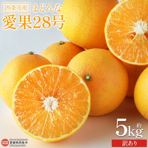 yӂ邳Ɣ[ŁzsY 󂠂 28i܂ǂȁj5kgɏoׂ܂Bƒp A ݂ ~J   Qʎ28 g܂ǂȂƓi ʕ  