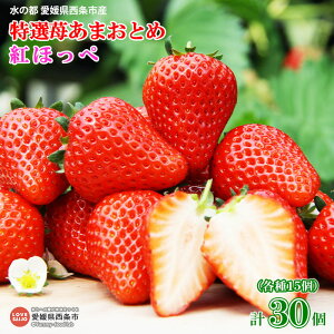 yӂ邳Ɣ[Łz̓s QsY I䕂܂Ƃ gق e15 v30 2026N3{ɏoׂ܂B  C`S ʕ  t[c 䂫Ɣ_ Q 