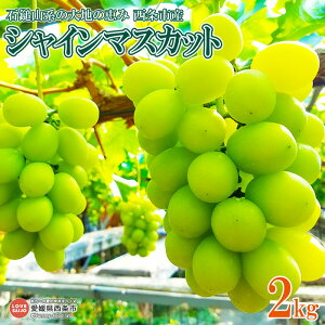 yӂ邳Ɣ[Łz2025NΒȎRn̑ňb sY VC}XJbg 2kg 2025N8{9ɏoׂ܂B uhE Ԃǂ  XC[c ʕ  t[c 