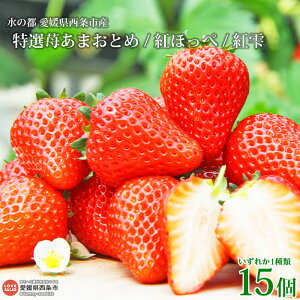 yӂ邳Ɣ[Łz̓s QsYI䕂܂Ƃ gق g ꂩ15 2026N3{ɏoׂ܂B  C`S ʕ  t[c 䂫Ɣ_ Q