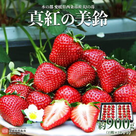 【ふるさと納税】＜水の都 愛媛県西条市産 幻の苺「真紅の美鈴」30粒　約900g（15粒×2）＞ ※2026年3月中旬迄に順次出荷します。 イチゴ いちご 黒苺 黒いちご 果物 くだもの フルーツ 希少種 濃厚 ゆきもと農園【冷蔵】