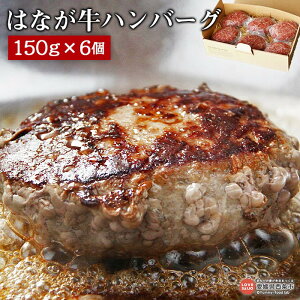 ハンバーグ ミンチ 冷凍の人気商品 通販 価格比較 価格 Com